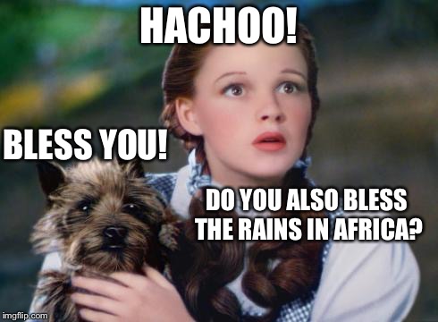 Toto Wizard of Oz | HACHOO! BLESS YOU! DO YOU ALSO BLESS THE RAINS IN AFRICA? | image tagged in toto wizard of oz | made w/ Imgflip meme maker
