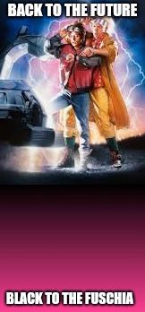 Heheh puns | BACK TO THE FUTURE; BLACK TO THE FUSCHIA | image tagged in memes,gradient,back to the future,ilikepie314159265358979 | made w/ Imgflip meme maker