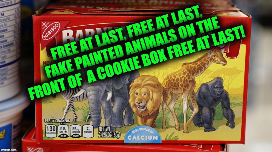 Lame Shallow Current Year Crap | FREE AT LAST, FREE AT LAST, FAKE PAINTED ANIMALS ON THE FRONT OF  A COOKIE BOX FREE AT LAST! | image tagged in hashtag activism,animal crackers,vapid gestures | made w/ Imgflip meme maker