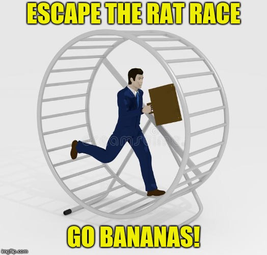 rat race | ESCAPE THE RAT RACE; GO BANANAS! | image tagged in go bananas,rat race | made w/ Imgflip meme maker