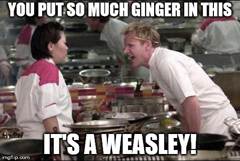 Angry Chef Gordon Ramsay Meme | YOU PUT SO MUCH GINGER IN THIS; IT'S A WEASLEY! | image tagged in memes,angry chef gordon ramsay | made w/ Imgflip meme maker