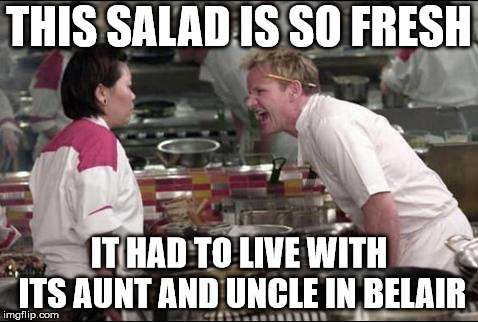 Angry Chef Gordon Ramsay Meme | THIS SALAD IS SO FRESH; IT HAD TO LIVE WITH ITS AUNT AND UNCLE IN BELAIR | image tagged in memes,angry chef gordon ramsay | made w/ Imgflip meme maker