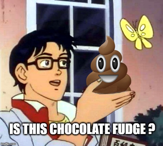 IS THIS CHOCOLATE FUDGE ? | image tagged in is this a pigeon,poop emoji,butterfly,ice cream,chocolate,fudge | made w/ Imgflip meme maker