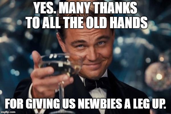 Leonardo Dicaprio Cheers Meme | YES. MANY THANKS TO ALL THE OLD HANDS FOR GIVING US NEWBIES A LEG UP. | image tagged in memes,leonardo dicaprio cheers | made w/ Imgflip meme maker
