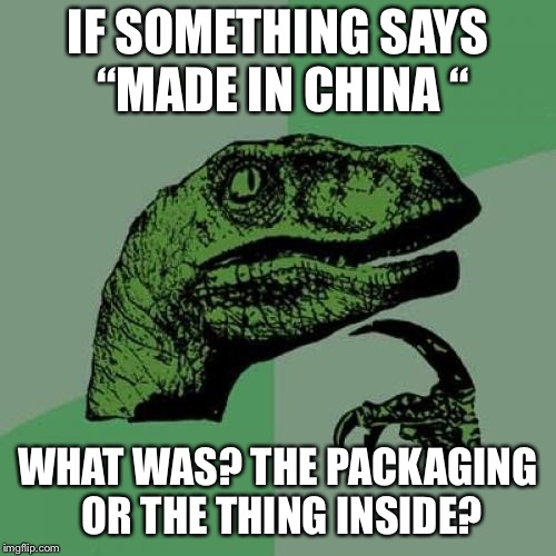 Philosoraptor Meme | IF SOMETHING SAYS “MADE IN CHINA “; WHAT WAS? THE PACKAGING OR THE THING INSIDE? | image tagged in memes,philosoraptor | made w/ Imgflip meme maker