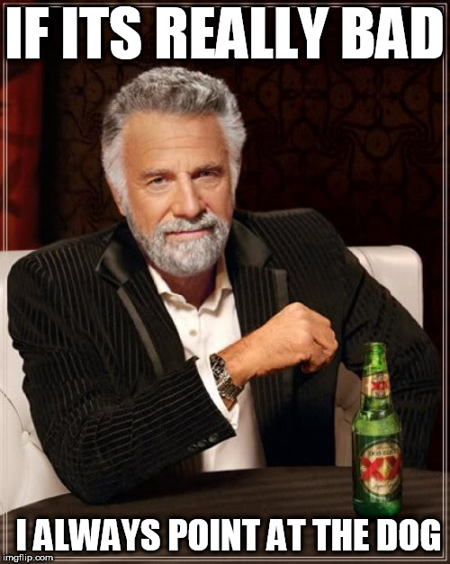 The Most Interesting Man In The World Meme | IF ITS REALLY BAD I ALWAYS POINT AT THE DOG | image tagged in memes,the most interesting man in the world | made w/ Imgflip meme maker