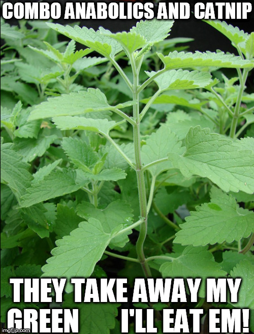 COMBO ANABOLICS AND CATNIP THEY TAKE AWAY MY GREEN 





 I'LL EAT EM! | made w/ Imgflip meme maker