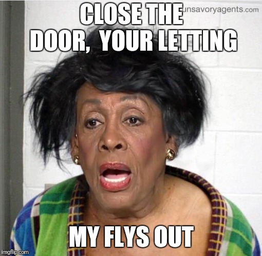 My mom | CLOSE THE DOOR,  YOUR LETTING MY FLYS OUT | image tagged in my mom | made w/ Imgflip meme maker