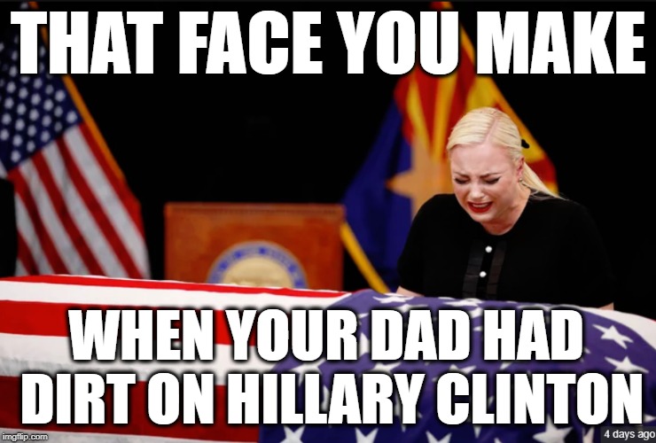 THAT FACE YOU MAKE; WHEN YOUR DAD HAD DIRT ON HILLARY CLINTON | image tagged in john mccain,hillary clinton,russian collusion,deep state | made w/ Imgflip meme maker