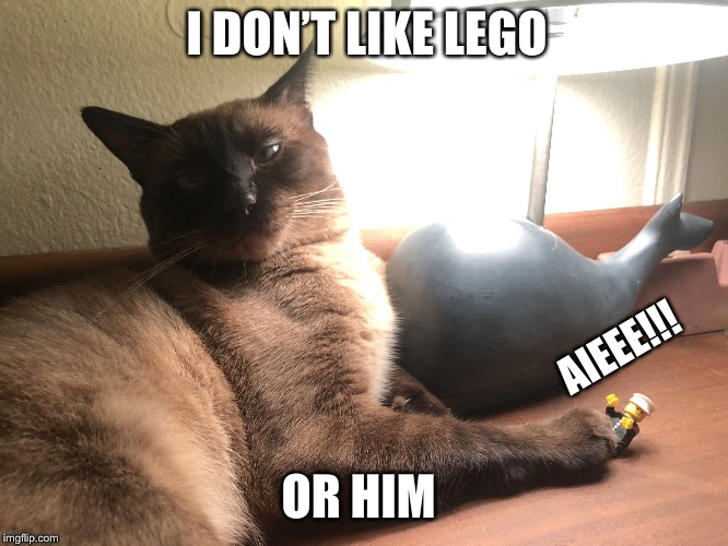 I DON’T LIKE LEGO; AIEEE!!! OR HIM | image tagged in cat does not loke lego | made w/ Imgflip meme maker