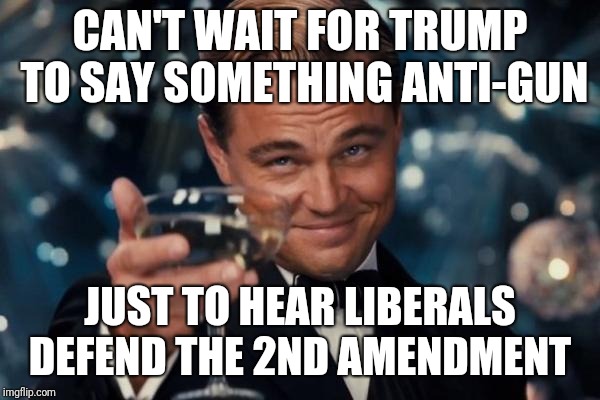 Leonardo Dicaprio Cheers | CAN'T WAIT FOR TRUMP TO SAY SOMETHING ANTI-GUN; JUST TO HEAR LIBERALS DEFEND THE 2ND AMENDMENT | image tagged in memes,leonardo dicaprio cheers | made w/ Imgflip meme maker
