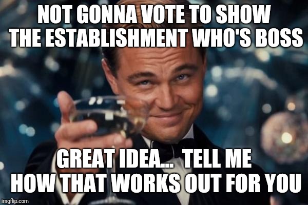 Leonardo Dicaprio Cheers | NOT GONNA VOTE TO SHOW THE ESTABLISHMENT WHO'S BOSS; GREAT IDEA...  TELL ME HOW THAT WORKS OUT FOR YOU | image tagged in memes,leonardo dicaprio cheers | made w/ Imgflip meme maker