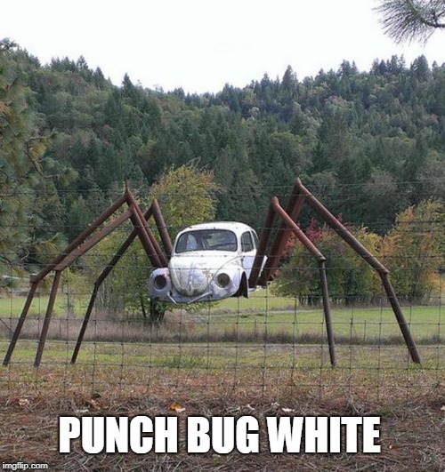 This Punch Bug Bites | PUNCH BUG WHITE | image tagged in memes,spider,spiders,punch bug,volkswagen,volkswagon | made w/ Imgflip meme maker