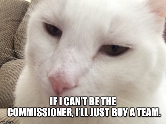 Team Buzz | IF I CAN’T BE THE COMMISSIONER, I’LL JUST BUY A TEAM. | image tagged in football | made w/ Imgflip meme maker