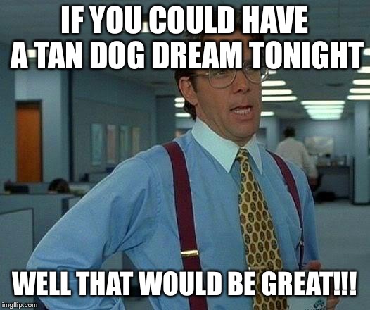 That Would Be Great | IF YOU COULD HAVE A TAN DOG DREAM TONIGHT; WELL THAT WOULD BE GREAT!!! | image tagged in memes,that would be great | made w/ Imgflip meme maker