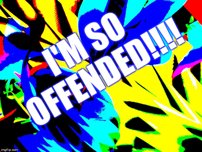 wild background | I'M SO OFFENDED!!!! | image tagged in wild background | made w/ Imgflip meme maker