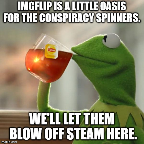 But That's None Of My Business Meme | IMGFLIP IS A LITTLE OASIS FOR THE CONSPIRACY SPINNERS. WE'LL LET THEM BLOW OFF STEAM HERE. | image tagged in memes,but thats none of my business,kermit the frog | made w/ Imgflip meme maker
