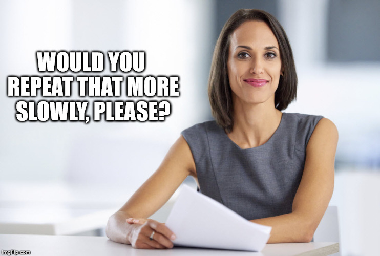 Successful businesswoman | WOULD YOU REPEAT THAT MORE SLOWLY, PLEASE? | image tagged in successful businesswoman | made w/ Imgflip meme maker