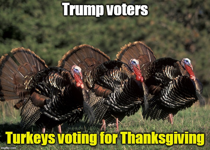 We tried to tell you. | Trump voters; Turkeys voting for Thanksgiving | image tagged in trump,turkey,thanksgiving | made w/ Imgflip meme maker