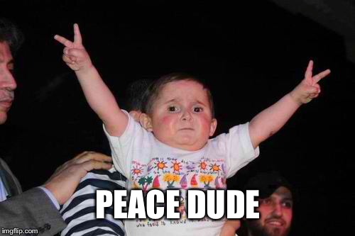peace baby! | PEACE DUDE | image tagged in peace baby | made w/ Imgflip meme maker