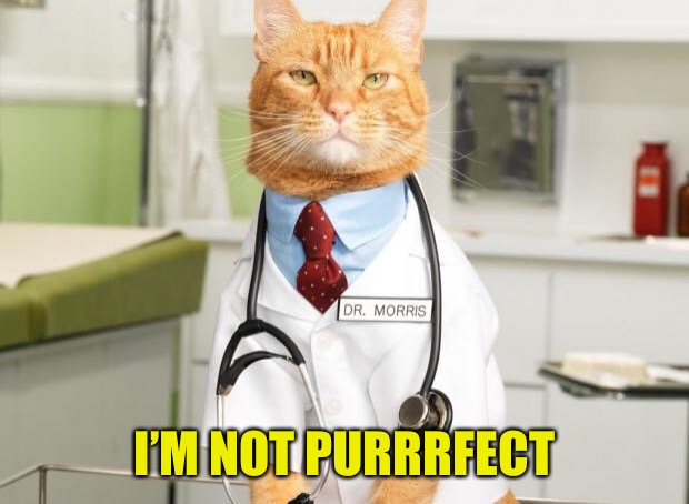 Cat Doctor | I’M NOT PURRRFECT | image tagged in cat doctor | made w/ Imgflip meme maker