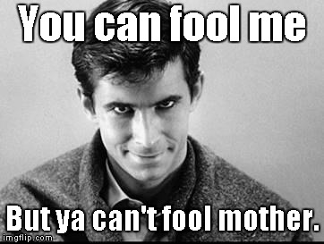 Only gullible psychos take candy from strangers?  lol |  You can fool me; But ya can't fool mother. | image tagged in norman bates | made w/ Imgflip meme maker