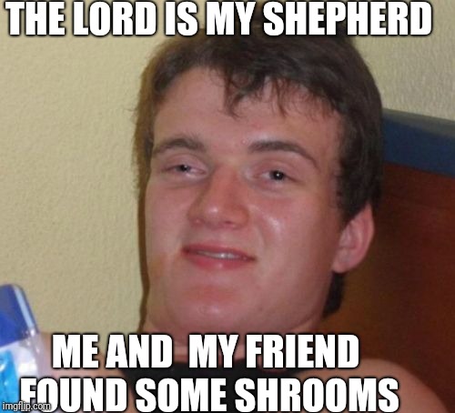 10 Guy Meme | THE LORD IS MY SHEPHERD; ME AND  MY FRIEND FOUND SOME SHROOMS | image tagged in memes,10 guy | made w/ Imgflip meme maker