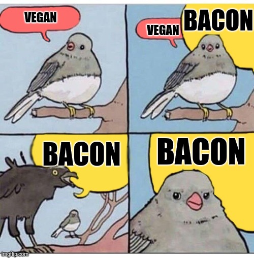 Vegan discussion | BACON; VEGAN; VEGAN; BACON; BACON | image tagged in annoyed bird | made w/ Imgflip meme maker