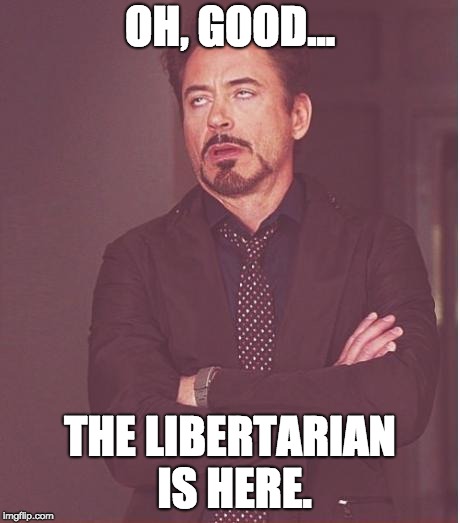 Face You Make Robert Downey Jr | OH, GOOD... THE LIBERTARIAN IS HERE. | image tagged in memes,face you make robert downey jr | made w/ Imgflip meme maker