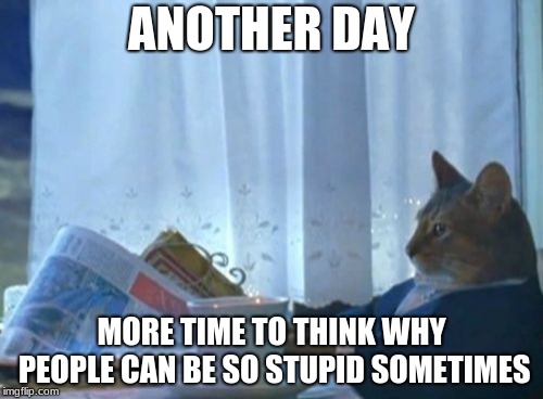 I Should Buy A Boat Cat Meme | ANOTHER DAY; MORE TIME TO THINK WHY PEOPLE CAN BE SO STUPID SOMETIMES | image tagged in memes,i should buy a boat cat | made w/ Imgflip meme maker