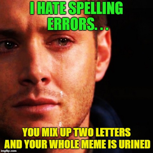 What a pisser | I HATE SPELLING ERRORS. . . YOU MIX UP TWO LETTERS AND YOUR WHOLE MEME IS URINED | image tagged in bad grammar and spelling memes,memes,funny | made w/ Imgflip meme maker