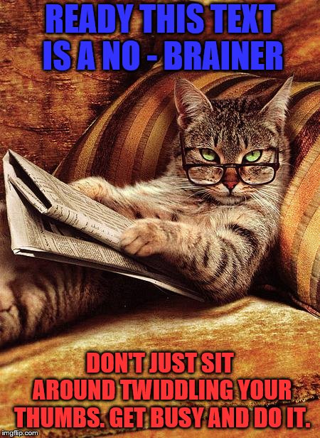 cat reading | READY THIS TEXT IS A NO - BRAINER; DON'T JUST SIT AROUND TWIDDLING YOUR THUMBS. GET BUSY AND DO IT. | image tagged in cat reading | made w/ Imgflip meme maker
