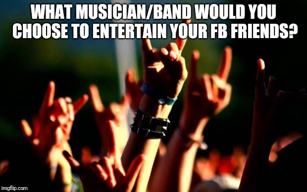 Metal concert | WHAT MUSICIAN/BAND WOULD YOU CHOOSE TO ENTERTAIN YOUR FB FRIENDS? | image tagged in metal concert | made w/ Imgflip meme maker
