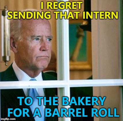 Or the hardware store for a long stand... :) | I REGRET SENDING THAT INTERN; TO THE BAKERY FOR A BARREL ROLL | image tagged in sad joe biden,memes,barrel roll,jokes | made w/ Imgflip meme maker