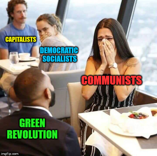 CAPITALISTS; DEMOCRATIC SOCIALISTS; COMMUNISTS; GREEN REVOLUTION | image tagged in perposal,green party,communism,democratic socialism,capitalism | made w/ Imgflip meme maker