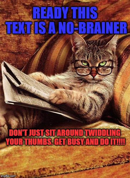 cat reading | READY THIS TEXT IS A NO-BRAINER; DON'T JUST SIT AROUND TWIDDLING YOUR THUMBS. GET BUSY AND DO IT!!!! | image tagged in cat reading | made w/ Imgflip meme maker