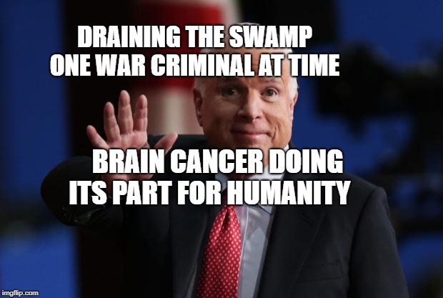 john mccain | DRAINING THE SWAMP ONE WAR CRIMINAL AT TIME; BRAIN CANCER DOING ITS PART FOR HUMANITY | image tagged in john mccain | made w/ Imgflip meme maker