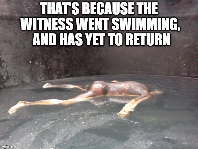THAT'S BECAUSE THE WITNESS WENT SWIMMING,  AND HAS YET TO RETURN | made w/ Imgflip meme maker