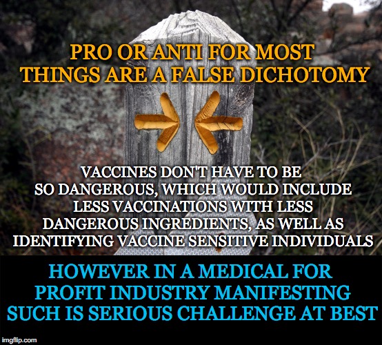 Not Only Does It Not Have To Be This Way, It Isn't | PRO OR ANTI FOR MOST THINGS ARE A FALSE DICHOTOMY; VACCINES DON'T HAVE TO BE SO DANGEROUS, WHICH WOULD INCLUDE LESS VACCINATIONS WITH LESS DANGEROUS INGREDIENTS, AS WELL AS IDENTIFYING VACCINE SENSITIVE INDIVIDUALS; HOWEVER IN A MEDICAL FOR PROFIT INDUSTRY MANIFESTING SUCH IS SERIOUS CHALLENGE AT BEST | image tagged in false dichotomy,vaccines,less,dangerous,medical,for profit | made w/ Imgflip meme maker