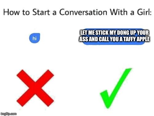 how to start a conversation with a girl (add text or image) | LET ME STICK MY DONG UP YOUR ASS AND CALL YOU A TAFFY APPLE | image tagged in how to start a conversation with a girl add text or image | made w/ Imgflip meme maker