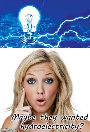 Maybe they wanted hydroelectricity? | made w/ Imgflip meme maker