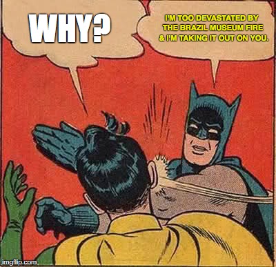 Batman Slapping Robin | WHY? I'M TOO DEVASTATED BY THE BRAZIL MUSEUM FIRE  & I'M TAKING IT OUT ON YOU. | image tagged in memes,batman slapping robin | made w/ Imgflip meme maker