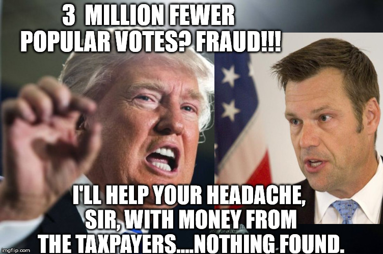 3  MILLION FEWER POPULAR VOTES? FRAUD!!! I'LL HELP YOUR HEADACHE, SIR, WITH MONEY FROM THE TAXPAYERS....NOTHING FOUND. | made w/ Imgflip meme maker