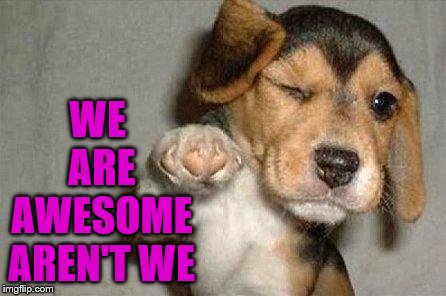Awesome Dog | WE ARE AWESOME AREN'T WE | image tagged in awesome dog | made w/ Imgflip meme maker