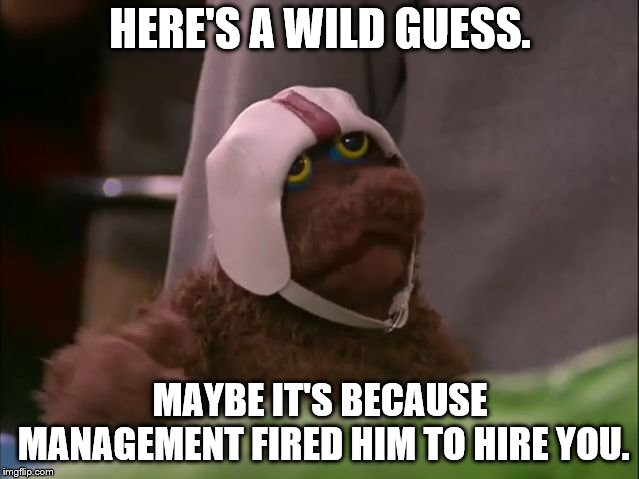 Warren the Ape | HERE'S A WILD GUESS. MAYBE IT'S BECAUSE MANAGEMENT FIRED HIM TO HIRE YOU. | image tagged in warren the ape | made w/ Imgflip meme maker
