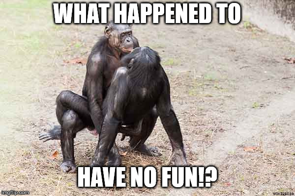 gay bonobos | WHAT HAPPENED TO HAVE NO FUN!? | image tagged in gay bonobos | made w/ Imgflip meme maker