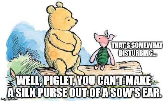 winnie the pooh and piglet | WELL, PIGLET, YOU CAN'T MAKE A SILK PURSE OUT OF A SOW'S EAR. THAT'S SOMEWHAT DISTURBING... | image tagged in winnie the pooh and piglet | made w/ Imgflip meme maker