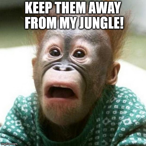 Shocked Monkey | KEEP THEM AWAY FROM MY JUNGLE! | image tagged in shocked monkey | made w/ Imgflip meme maker