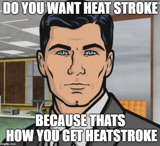 Archer Meme | DO YOU WANT HEAT STROKE; BECAUSE THATS HOW YOU GET HEATSTROKE | image tagged in memes,archer | made w/ Imgflip meme maker