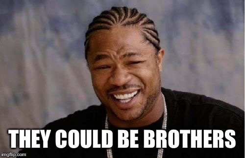 Yo Dawg Heard You Meme | THEY COULD BE BROTHERS | image tagged in memes,yo dawg heard you | made w/ Imgflip meme maker
